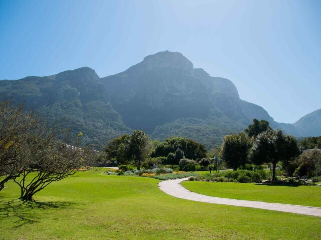 https://baribulaoviaggi.it/wp-content/uploads/2018/08/post_capetown_04-640x480.jpg