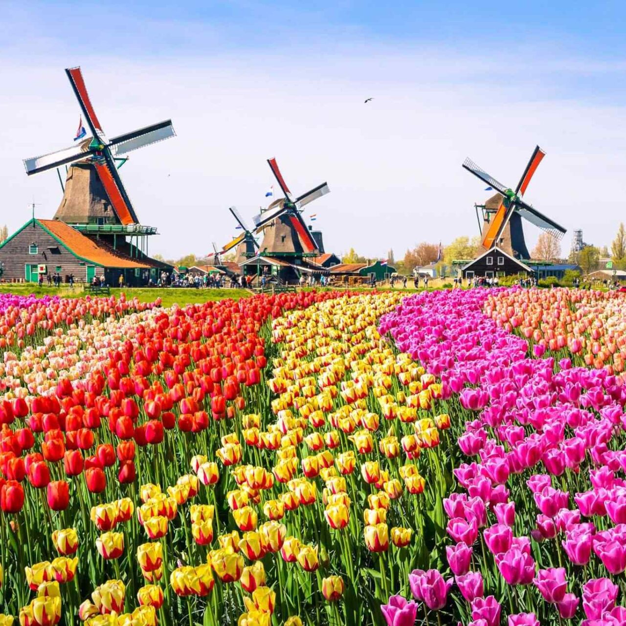 https://baribulaoviaggi.it/wp-content/uploads/2018/09/destination-netherlands-01-1280x1280.jpg
