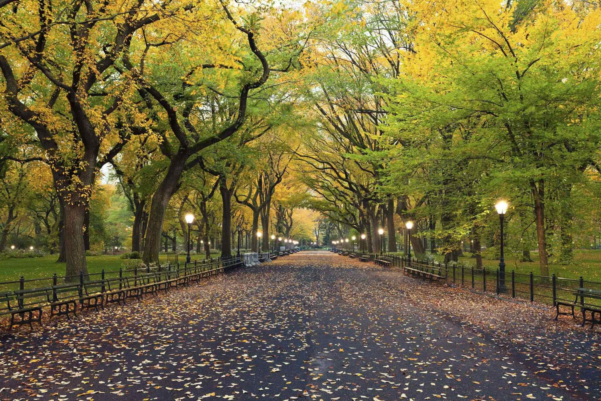 https://baribulaoviaggi.it/wp-content/uploads/2018/09/destination-new-york-02.jpg