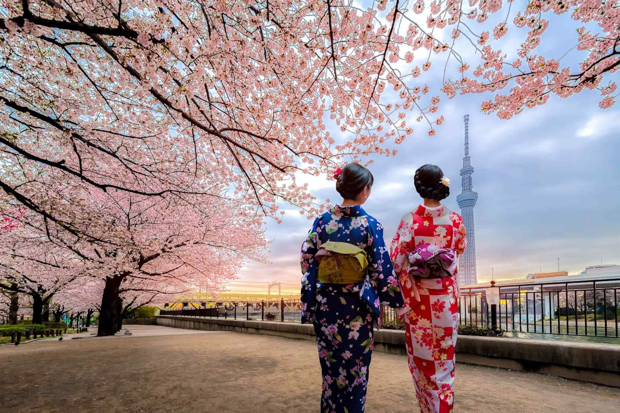 https://baribulaoviaggi.it/wp-content/uploads/2018/09/destination-tokyo-03.jpg