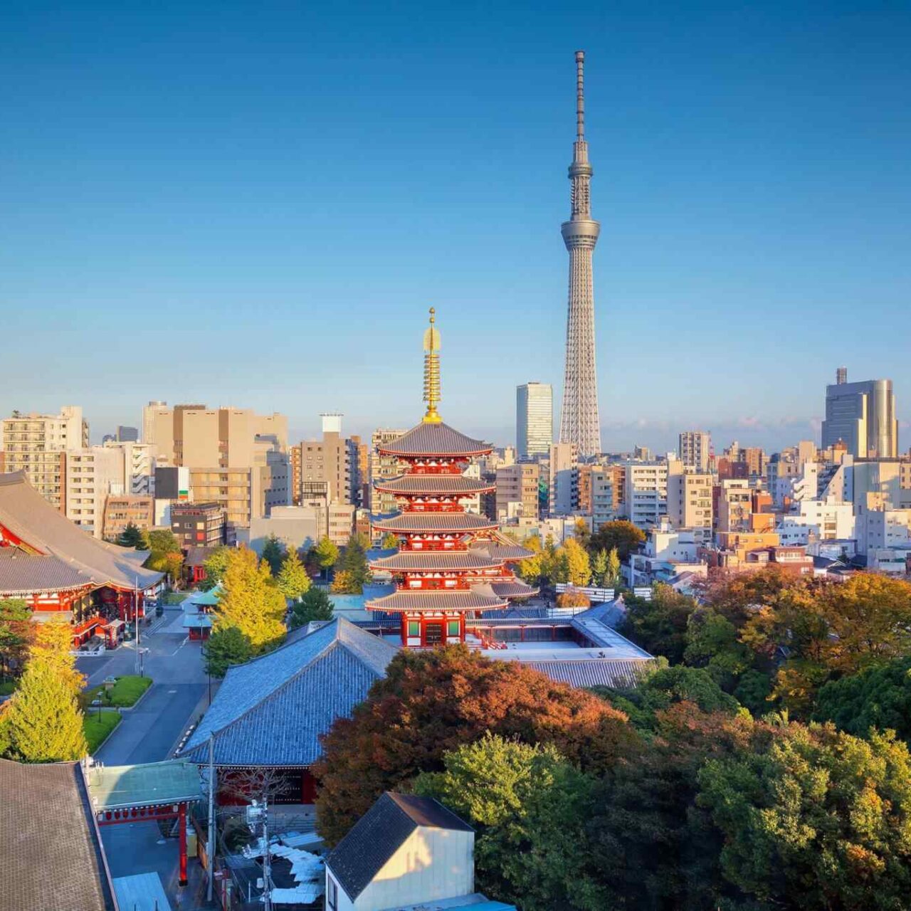 https://baribulaoviaggi.it/wp-content/uploads/2018/09/destination-tokyo-04-1280x1280.jpg