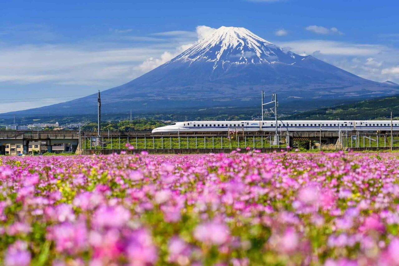 https://baribulaoviaggi.it/wp-content/uploads/2018/09/tour-osaka-04-1280x854.jpg